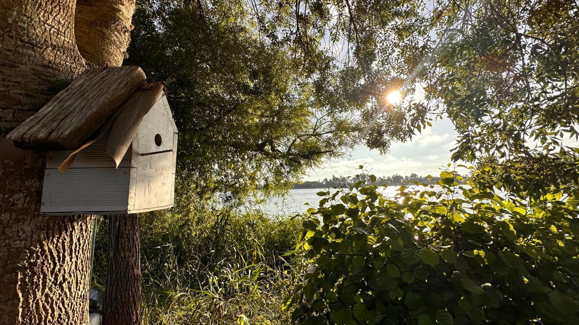 Casa Do Areal, Refugio Das Rotas Pedestres Em Mira Mira  Eksteriør bilde